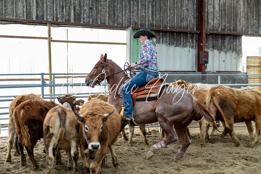 Ranch Sorting — photo 1